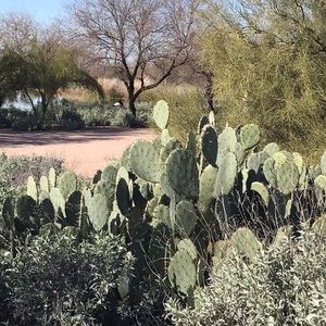 Meet your Posher, Mary lou